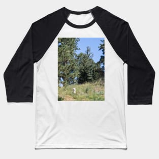 Endangered Beauty Baseball T-Shirt